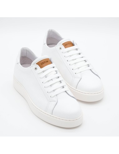 Sneaker Exton