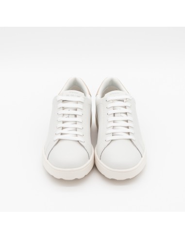 Sneaker Geox Spherica